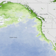 Image for article titled El Niño's Algae Blob From Hell Is Poisoning Seafood